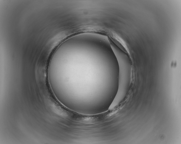 X0000091970059200709061341