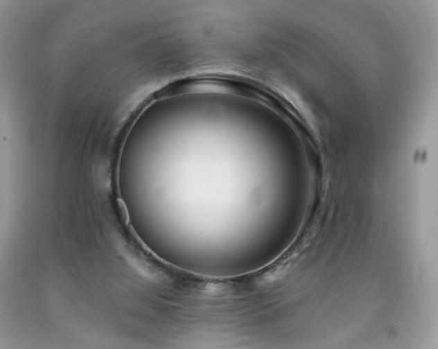X0000091970060200709061341