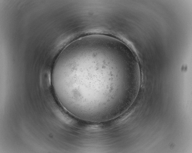 X0000091970061200709061341