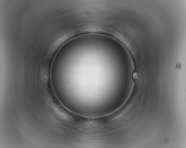 X0000091970063200709061341