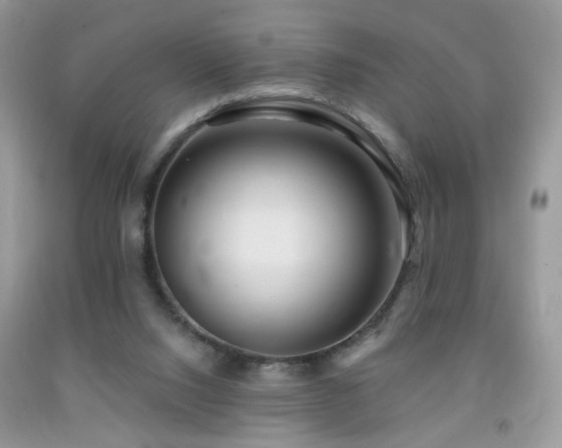 X0000091970064200709061341