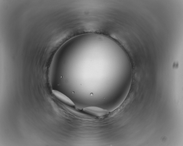 X0000091970066200709061341