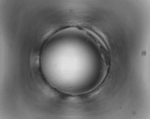 X0000091970067200709061341