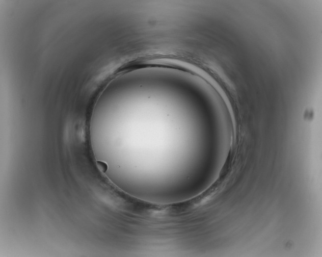 X0000091970068200709061341