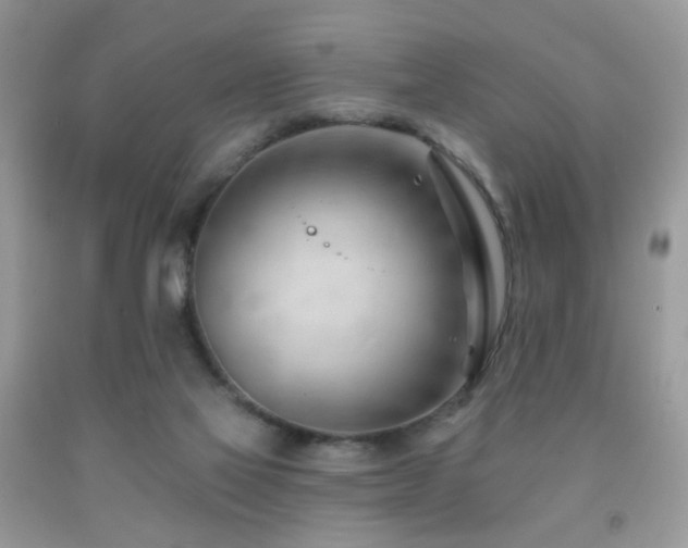 X0000091970069200709061341
