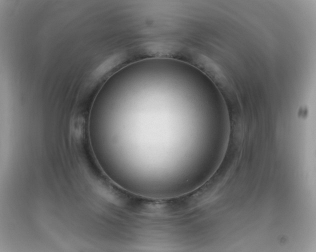 X0000091970071200709061341