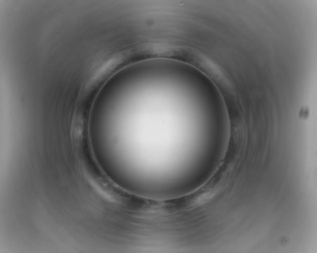 X0000091970072200709061341