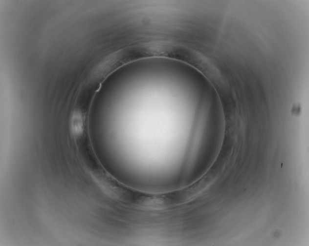 X0000091970075200709061341