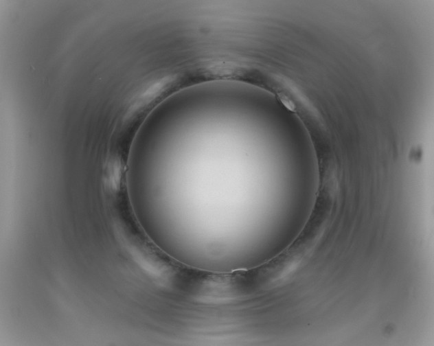 X0000091970076200709061341