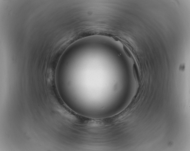 X0000091970077200709061341