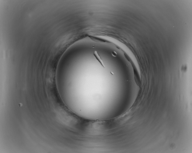 X0000091970078200709061341