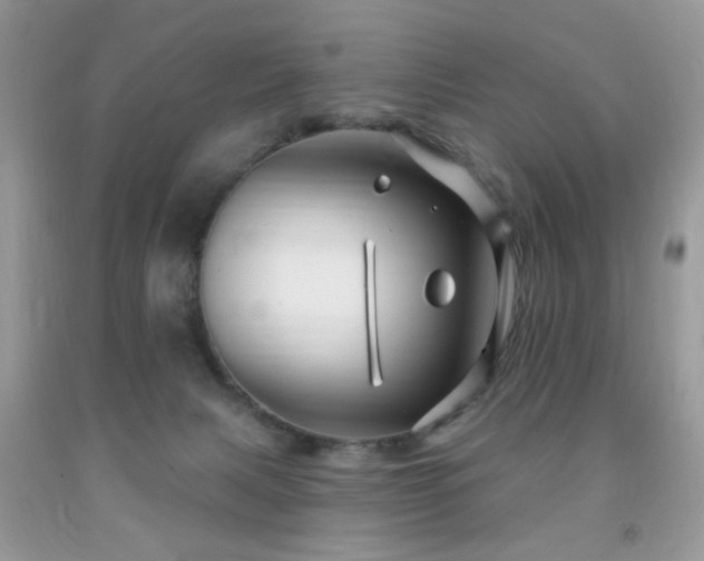 X0000091970079200709061341