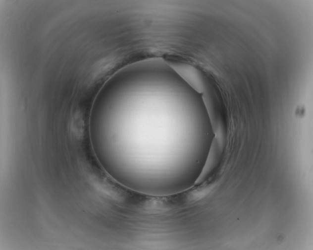 X0000091970080200709061341