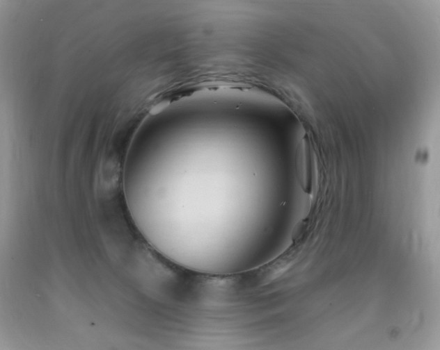 X0000091970081200709061341