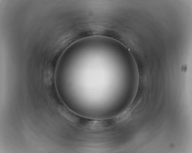 X0000091970082200709061341