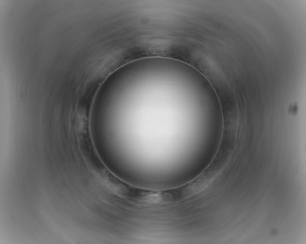 X0000091970083200709061341