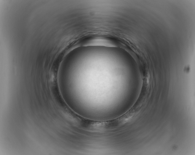 X0000091970084200709061341