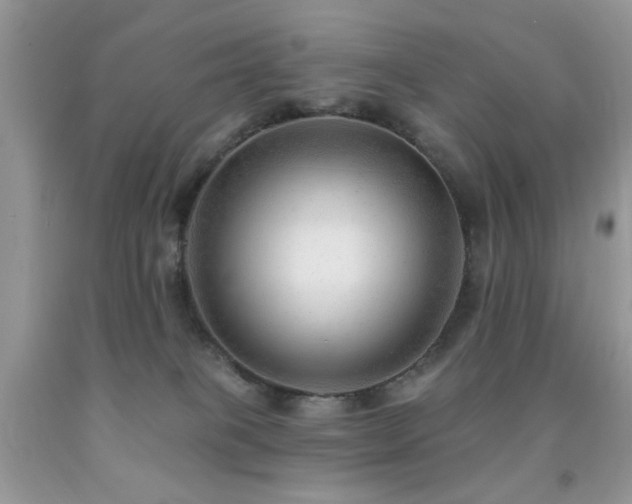 X0000091970085200709061341