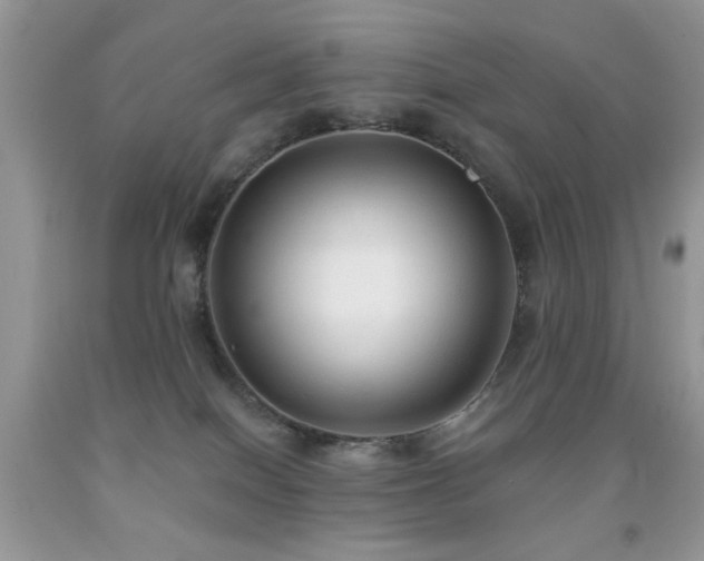 X0000091970086200709061341