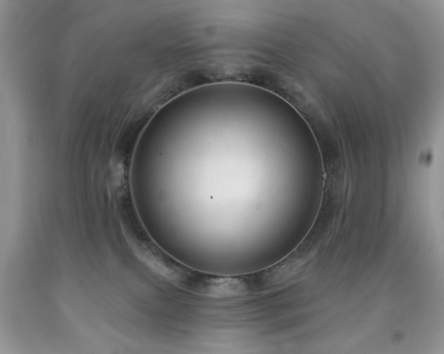 X0000091970087200709061341