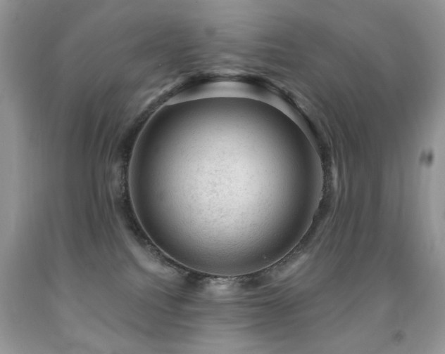X0000091970088200709061341