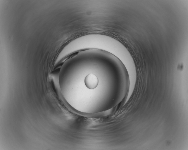 X0000091970089200709061341