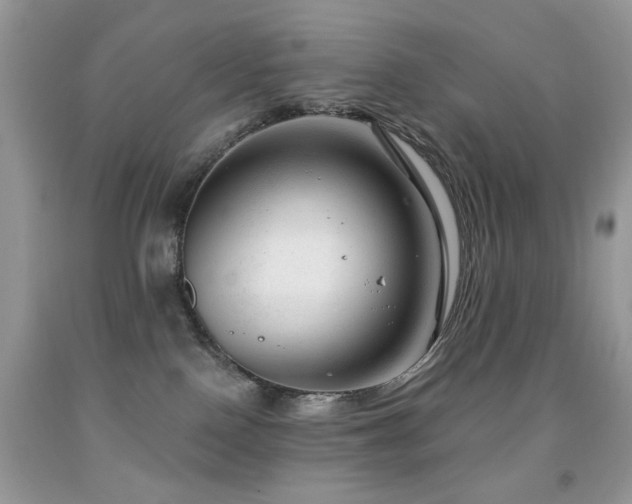 X0000091970090200709061341