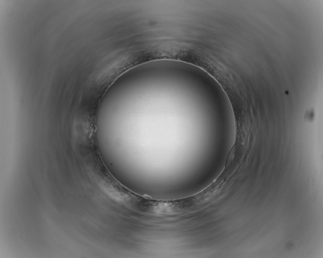 X0000091970091200709061341