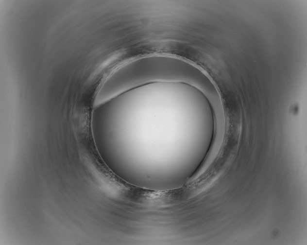 X0000091970092200709061341