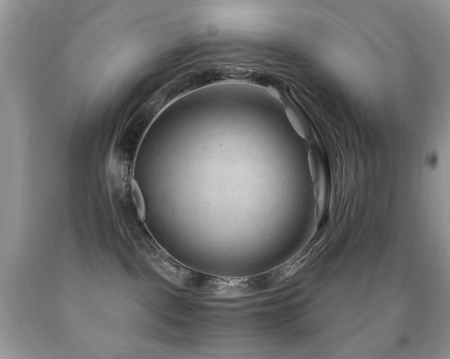 X0000091970093200709061341