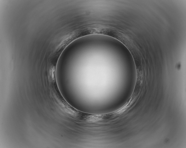 X0000091970094200709061341