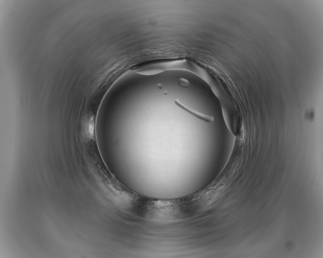 X0000091970095200709061341