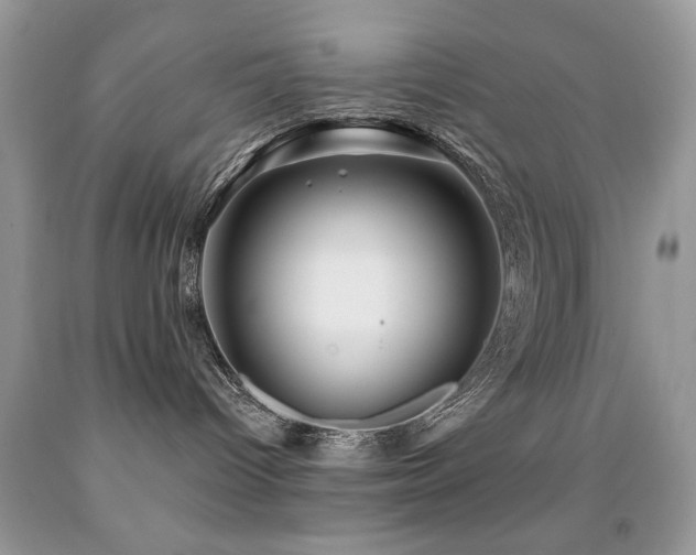 X0000091970096200709061341