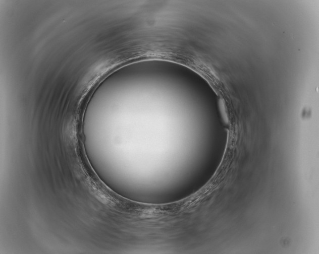 X0000091970098200709061341