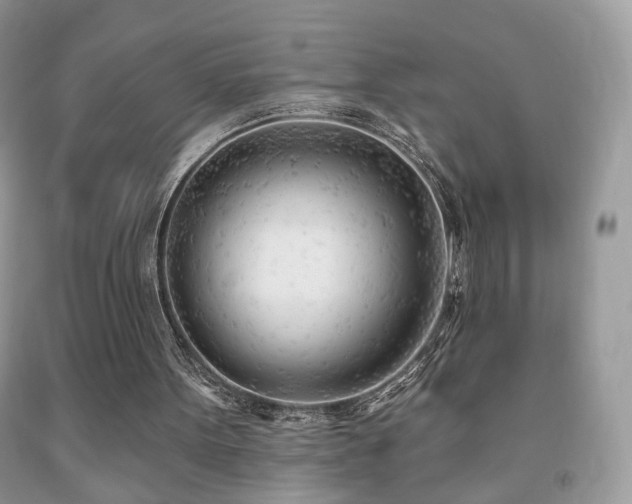 X0000091970099200709061341