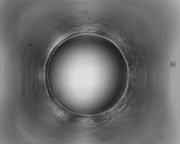 X0000091970100200709061341