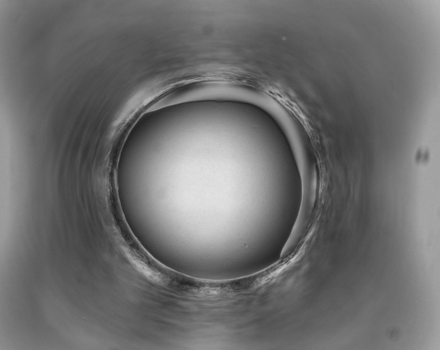 X0000091970101200709061341