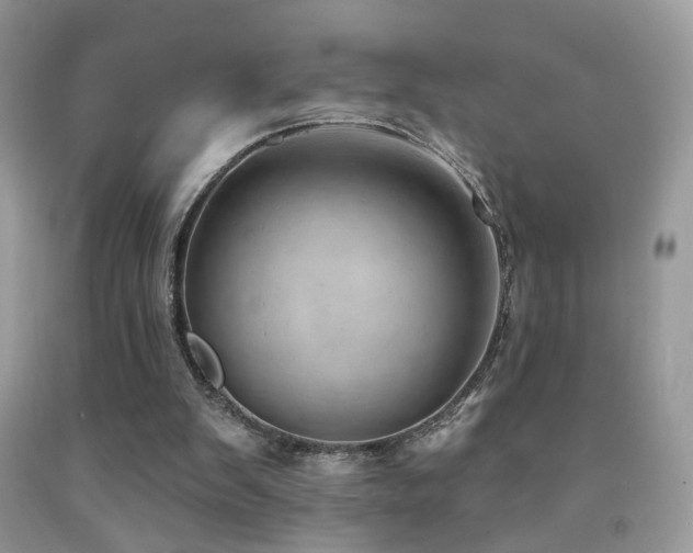 X0000091970103200709061341