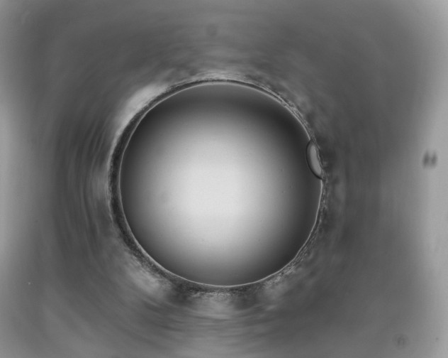 X0000091970104200709061341