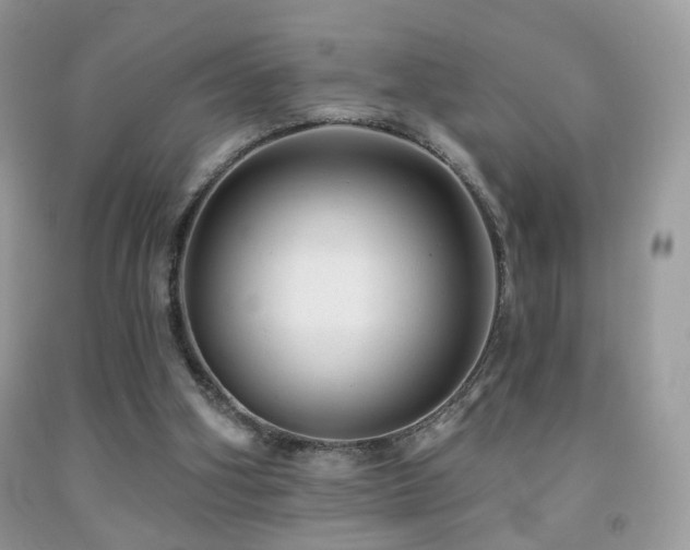 X0000091970106200709061341