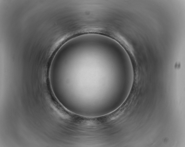 X0000091970107200709061341