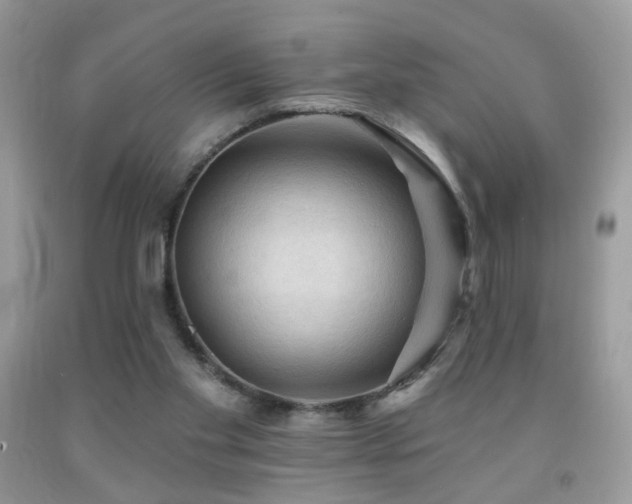 X0000091970109200709061340