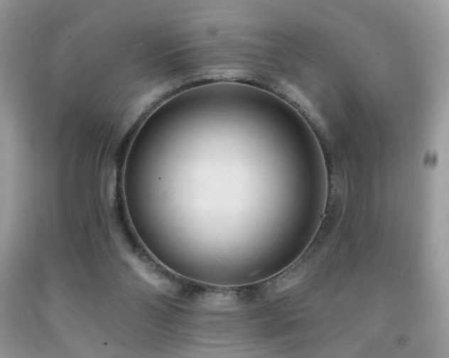 X0000091970110200709061340