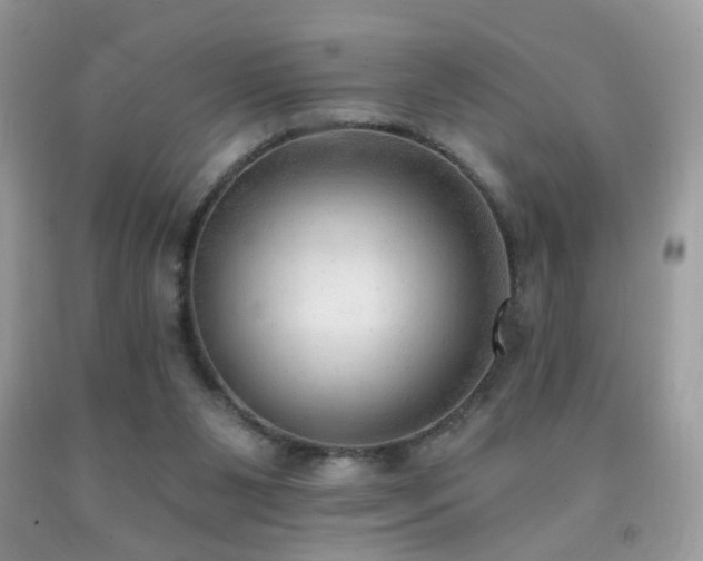 X0000091970111200709061340