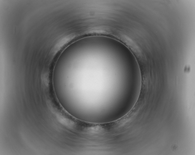 X0000091970112200709061340