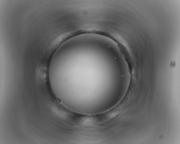 X0000091970115200709061340