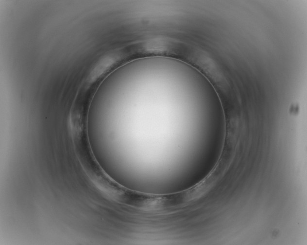 X0000091970116200709061340