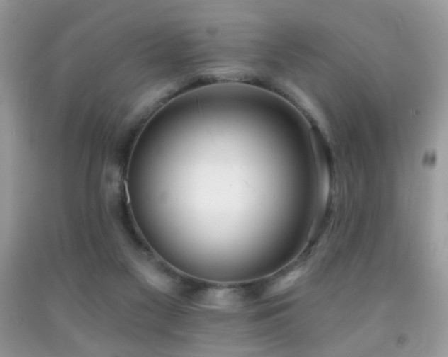 X0000091970117200709061340