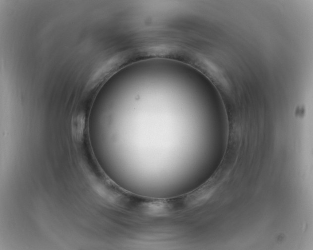 X0000091970118200709061340