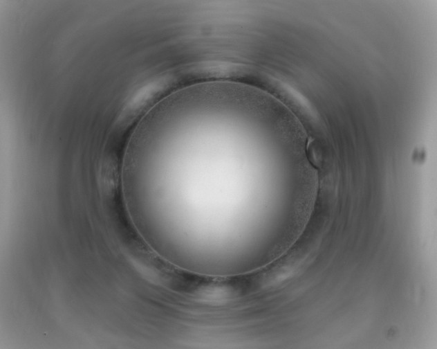 X0000091970119200709061340